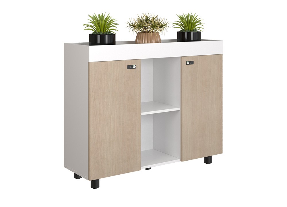 Tủ tài liệu NEWTREND NTV1000-3T2