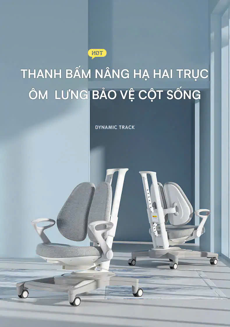 Ghế chống gù cao cấp DRY-818