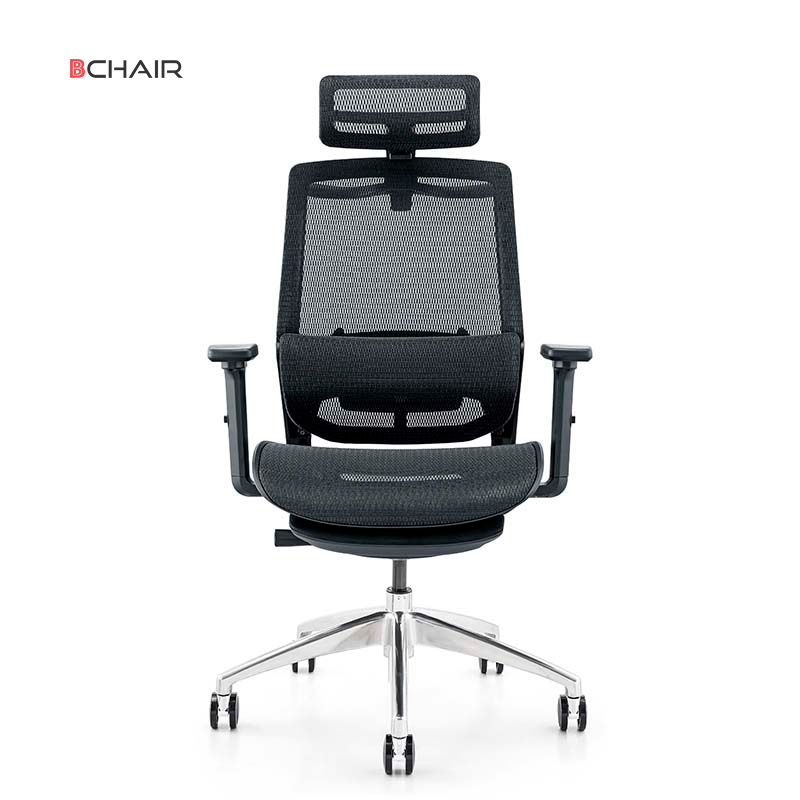 Ghế công thái học cao cấp BCHAIR Ergonomic B-103F-16L