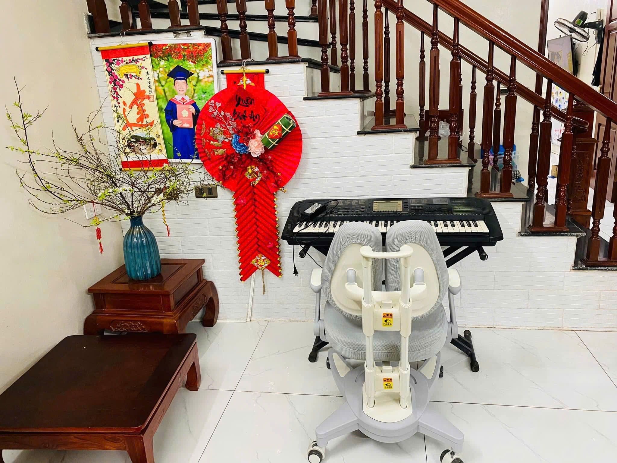 Ghế chống gù cao cấp DRY-818