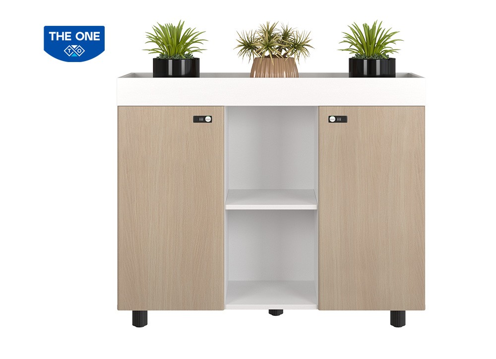 Tủ tài liệu NEWTREND NTV1000-3T2