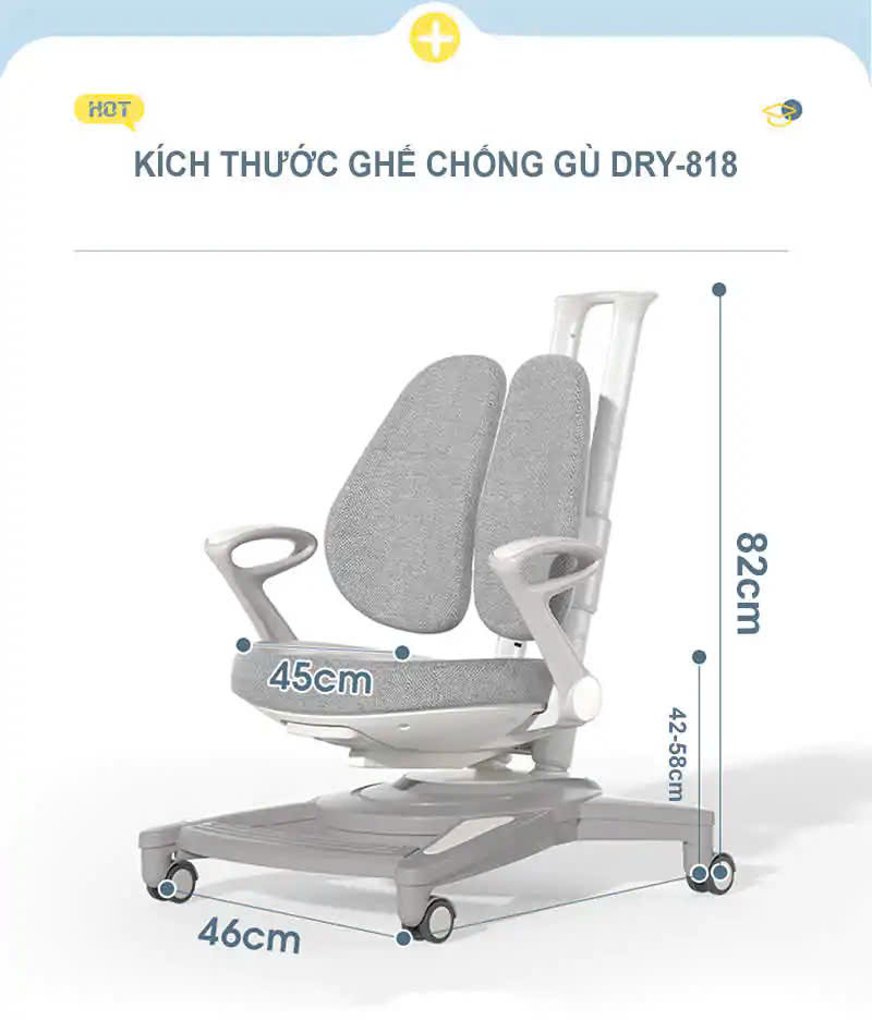 Ghế chống gù cao cấp DRY-818