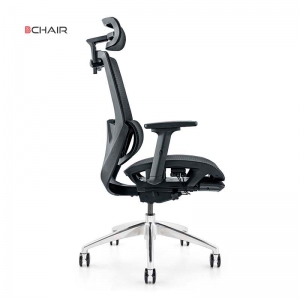 Ghế công thái học cao cấp BCHAIR Ergonomic B-103F-16L