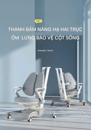 Ghế chống gù cao cấp DRY-818