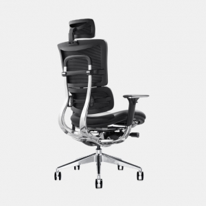 Ghế công thái học cao cấp BCHAIR Ergonomic B-801D