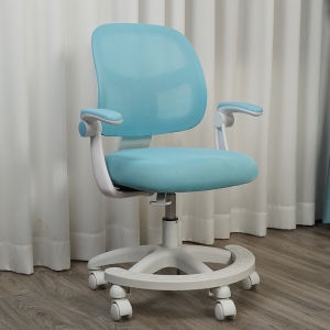 Ghế học sinh chống gù JD505-M