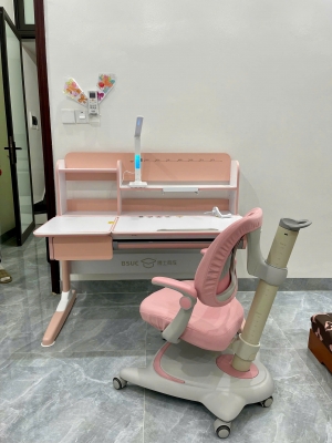 Ghế  chống gù cao cấp DSY-1002