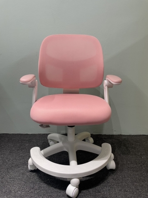 Ghế học sinh chống gù JD505-M