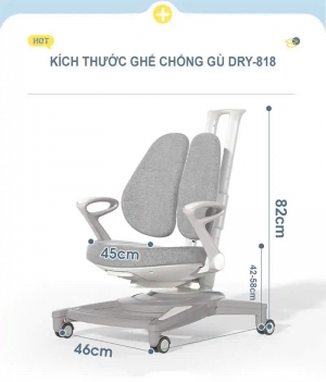 Ghế chống gù cao cấp DRY-818
