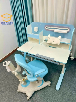 Ghế  chống gù cao cấp DSY-1002