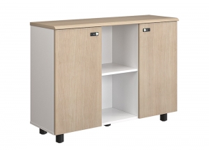 Tủ tài liệu NEWTREND NTV880-3T1